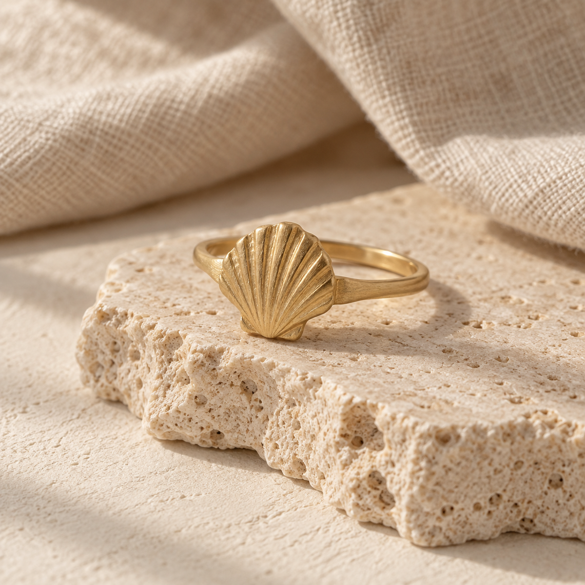 Anillo Concha - portada